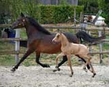 wenige Tage alt